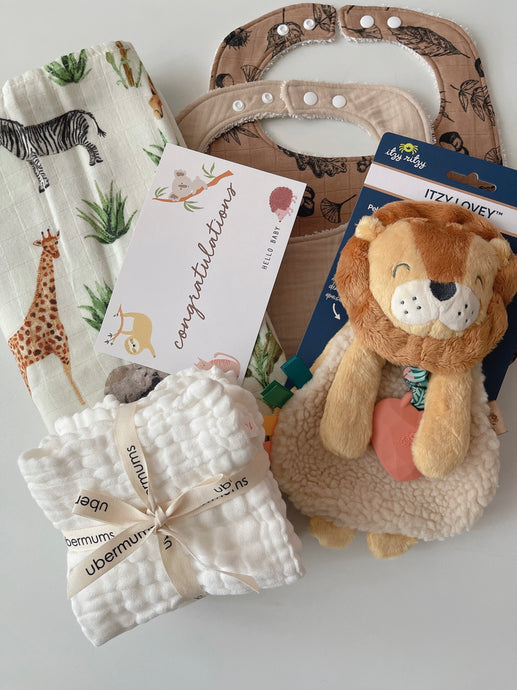 Plush Baby Gift Set - Lion